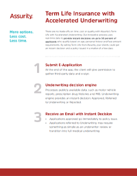 SellmoreLife-Acc_Under_Flyer-Thumb